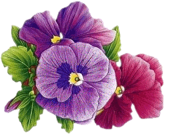 fleurs